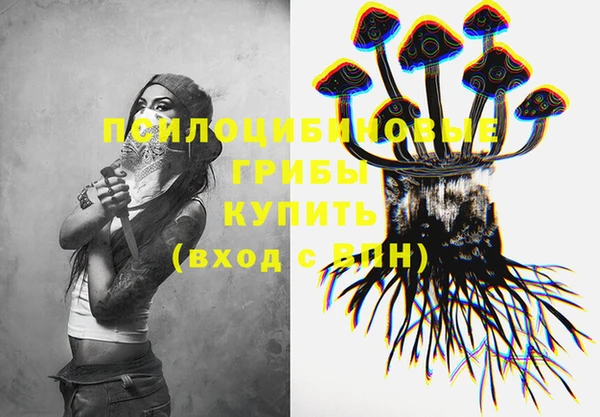 mdma Дмитриев