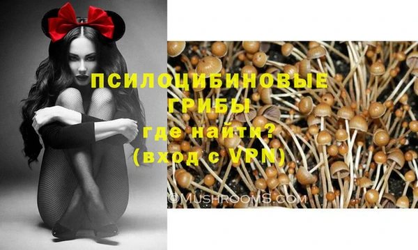 бутират Дмитровск