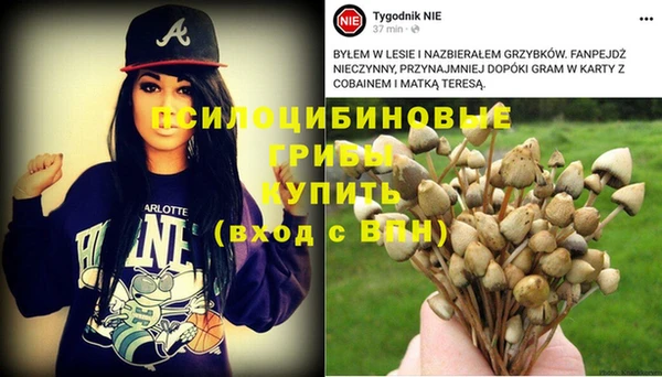 mdma Дмитриев
